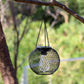 Outdoor hanging black metal mesh globe lantern under a tree branch