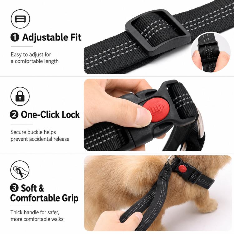 Black adjustable nylon dog collar leash set with control handle and safety lock buckle