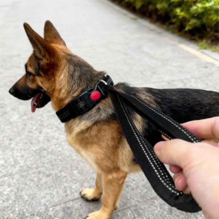 Dog wearing black nylon collar with red button while person holds integrated control handle