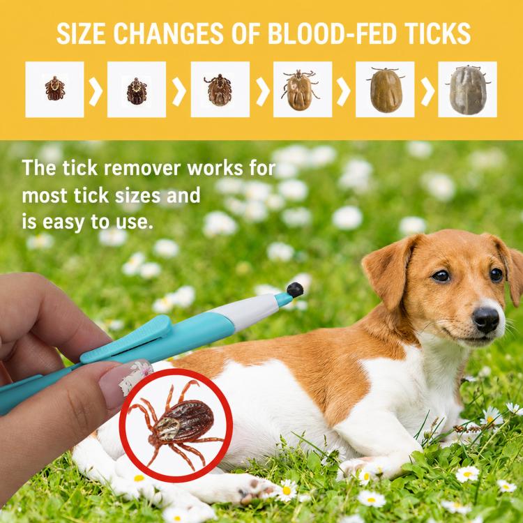 Retractable Tick Remover Lasso Slide Lock Extraction Loop Pen with Standing Base