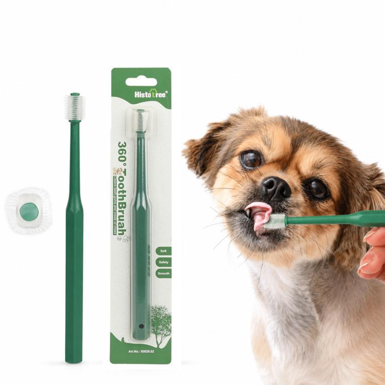 Green pet toothbrush with soft TPE micro bristles and small rounded brush head for pets