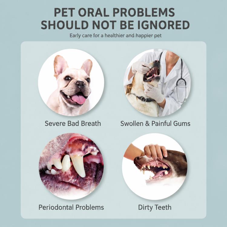 Pet oral problems poster showing dog and cat dental issues with mouth and teeth photos