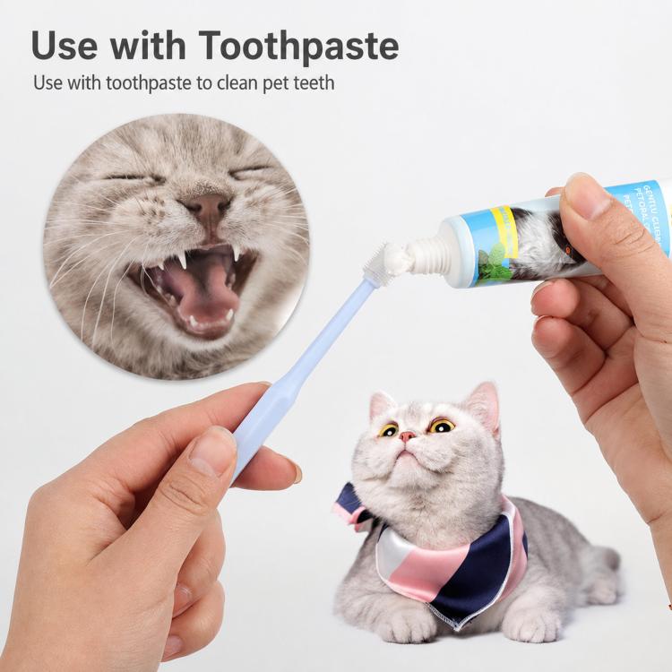 Pet toothbrush with toothpaste being used to clean a cat’s teeth