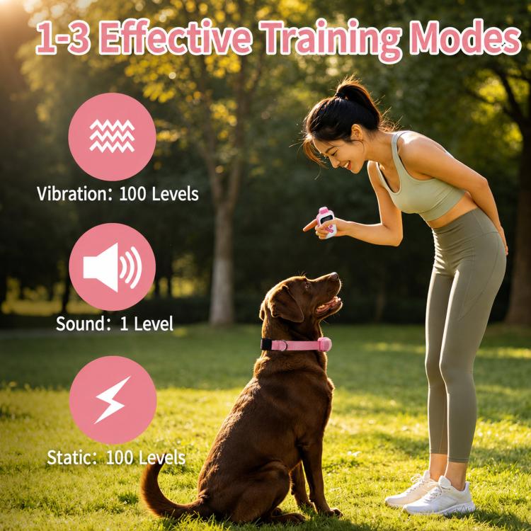 Pink dog training collar remote and pink fabric collar on sitting dog