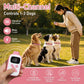 Pink multi-dog training collar remote with pink fabric collars on three dogs