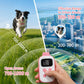 Pink dog training remote held in hand with pink collar on running dog