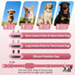 Pink dog training collar remote and receiver with short contact points