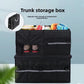 Black trunk storage box with front mesh shoe pocket and grid-style storage sections