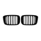 Pair of black oval grille inserts with vertical slat openings, front view
