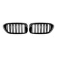 Two black oval grille inserts with vertical slats and glossy trim