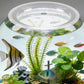 Clear acrylic round aquarium cover with center feeding opening and ventilation pores