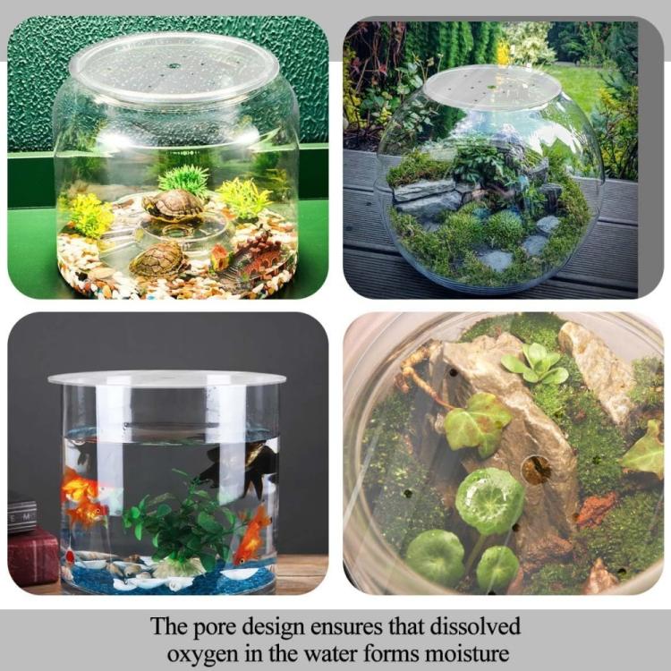 Clear acrylic aquarium lid showing vent pore pattern for airflow