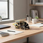 Black fan-shaped acrylic mail sorter on desk holding letters and cards