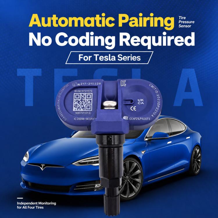 Tire pressure monitoring sensor on a valve stem with blue housing