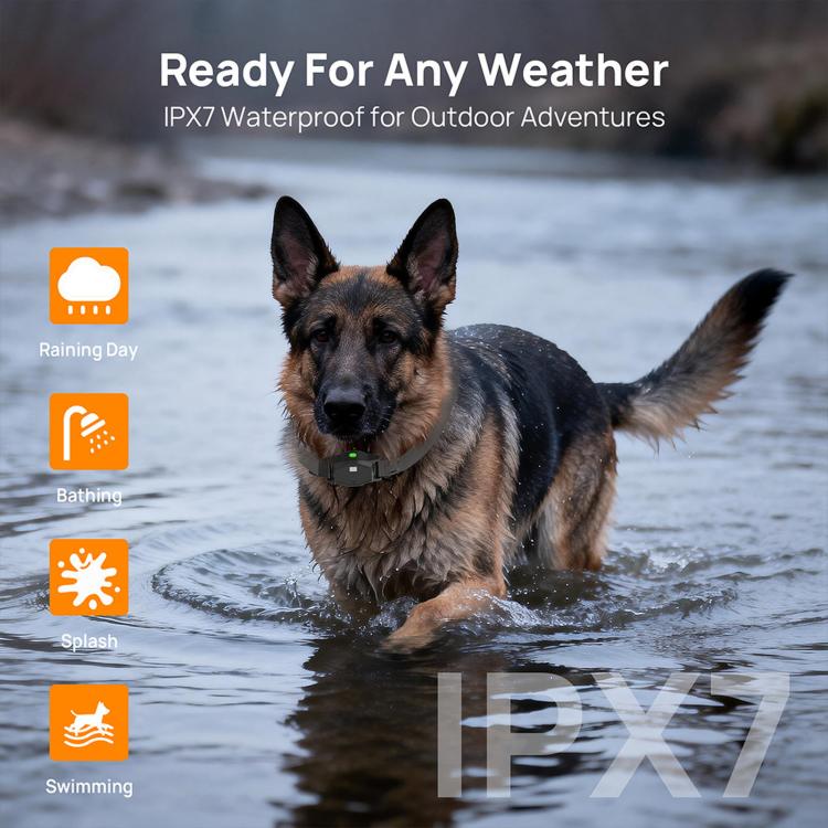 Outdoor Waterproof Smart Wireless Electronic Fence Training Collar for Dogs