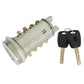 Door lock cylinder with keys, silver barrel with gold pins and black key fobs