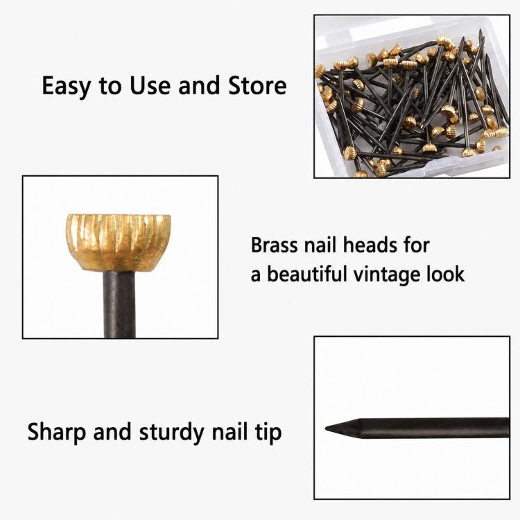 Picture hanging nails detail, brass ribbed head and sharp black tip