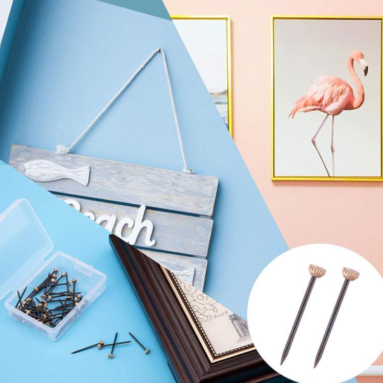 Picture hanging nails kit, two nails with brass heads near framed wall art