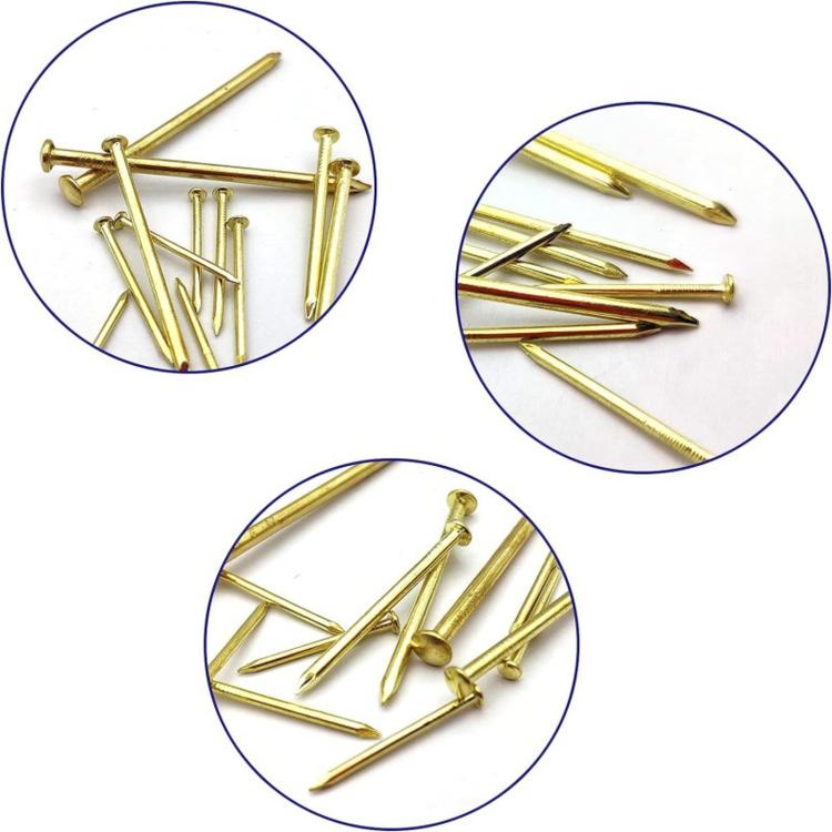350 PCS/Box Picture Hanging Nails Assortment Kit 5 Sizes Hardware Nails Set