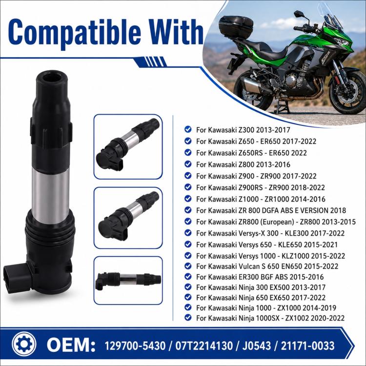 Ignition coil assembly with black end cap and boot, silver tube body