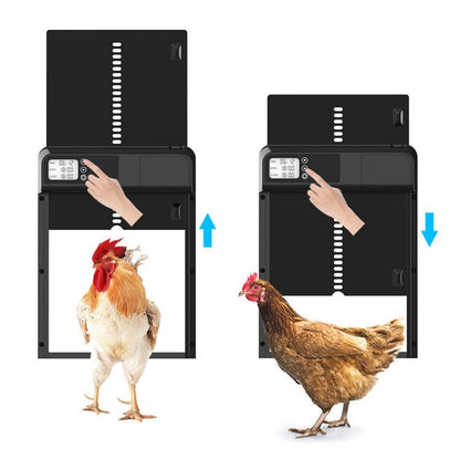 Aluminum Alloy Digital Display Automatic Timed Chicken Coop Door, KF4201058