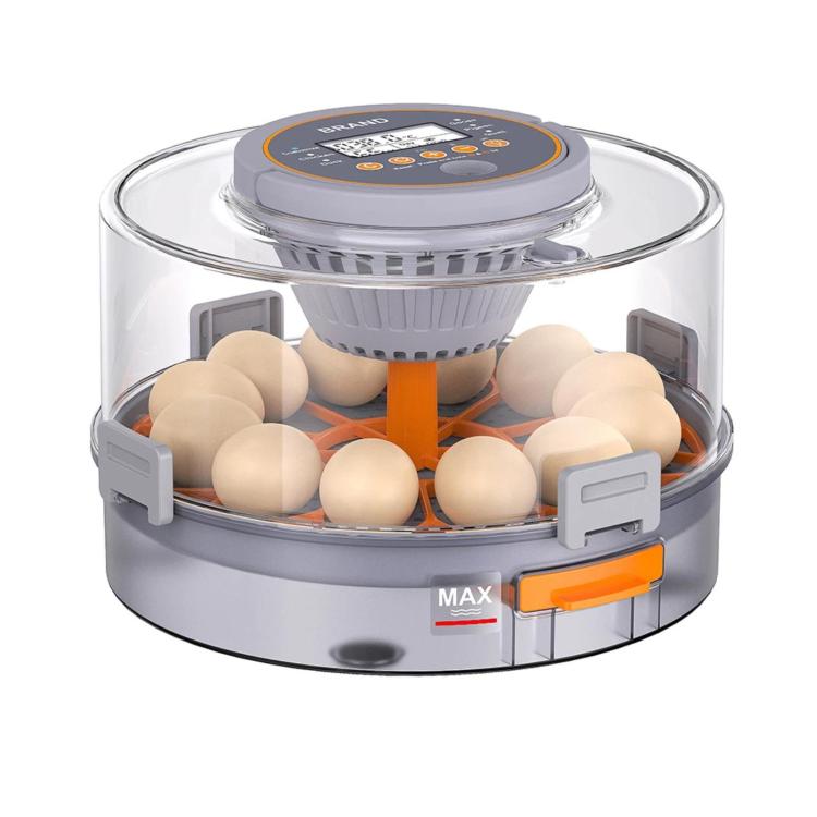 Precise Temperature Control Incubator For 12-18 Eggs, US Plug, US Plug