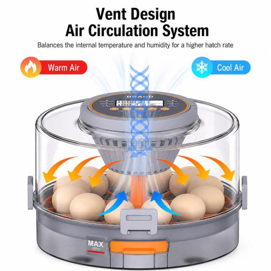 Precise Temperature Control Incubator For 12-18 Eggs, US Plug, US Plug