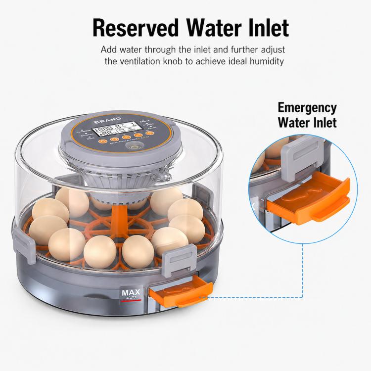 Precise Temperature Control Incubator For 12-18 Eggs, US Plug, US Plug