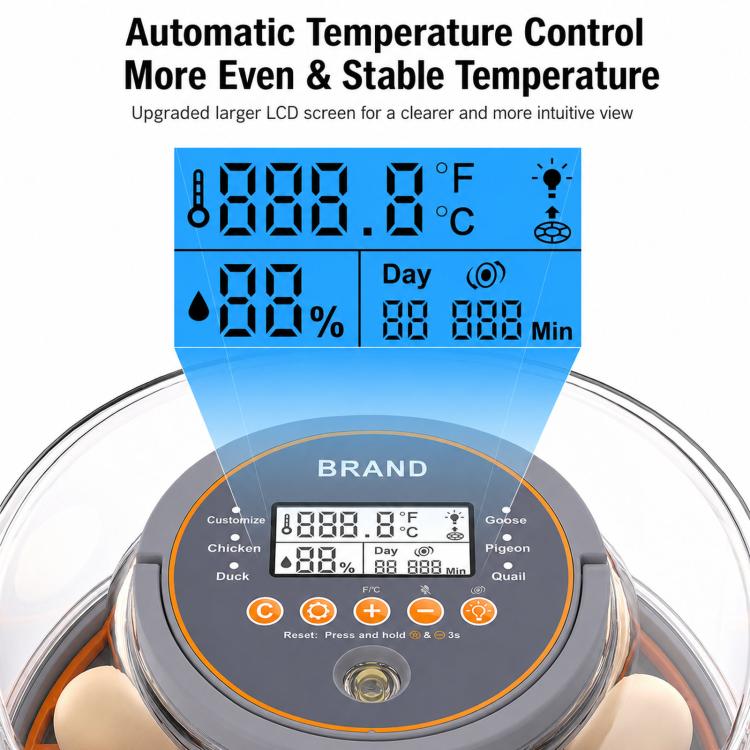 Precise Temperature Control Incubator For 12-18 Eggs, US Plug, US Plug