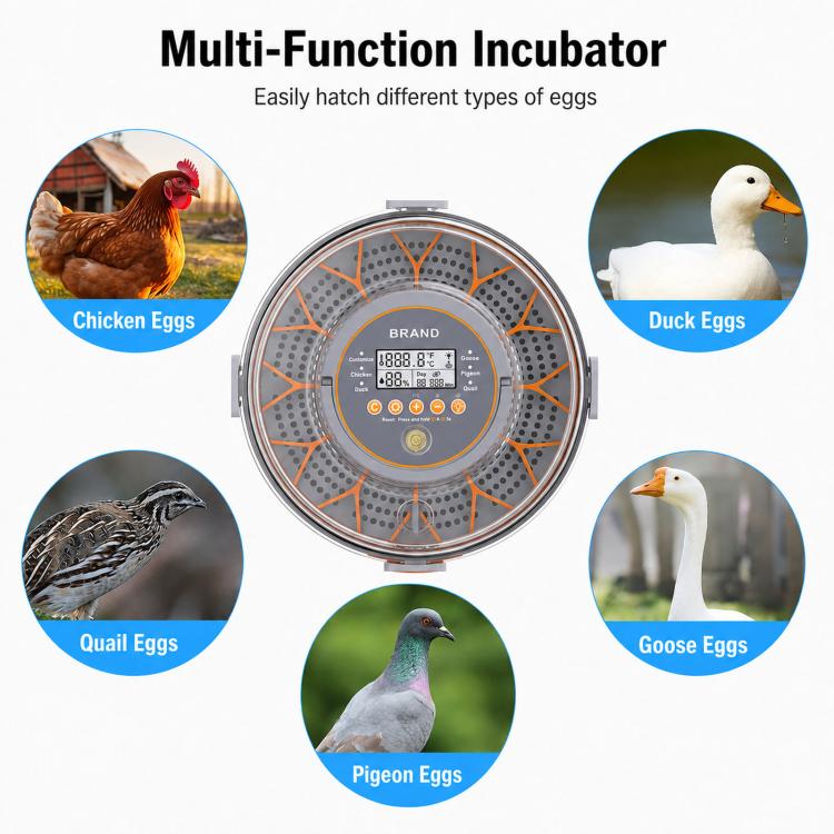 Precise Temperature Control Incubator For 12-18 Eggs, US Plug, US Plug