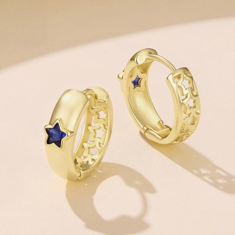 S925 Sterling Silver Needle Star-Shaped Copper Earrings, YIE424