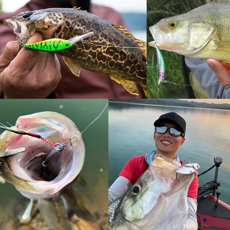 Fishing lure kit shown with fish catch and lures held in hand