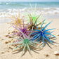 Floating sea urchin soft fishing lure set with green, purple, and blue tentacles
