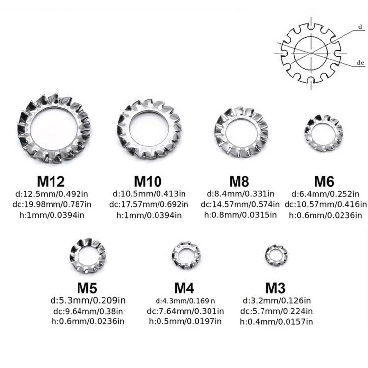304 Stainless Steel External Tooth Lock Washers Assortment Kit, 160 PCS/Box