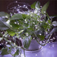 TBD061405301B_2.jpg@ddda3e4a7e4acede4ce1f387c491fb9f