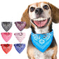 Dog wearing blue printed bandana collar with metal buckle; assorted bandana collars behind