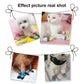 Pet socks worn on dog and cat paws, showing colorful knitted anti-slip design