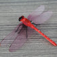 Red dragonfly decoration with translucent wings and textured body, stick-style
