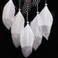 Dreamcatcher feathers in white with glittery silver tips, linked by bead strings