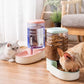 Automatic pet water dispenser and food storage buckets on floor