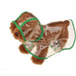 Green-trimmed transparent hooded dog raincoat, worn by a brown dog in profile.
