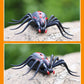 Infrared remote control spider toy, black with red accents and wide-spread legs