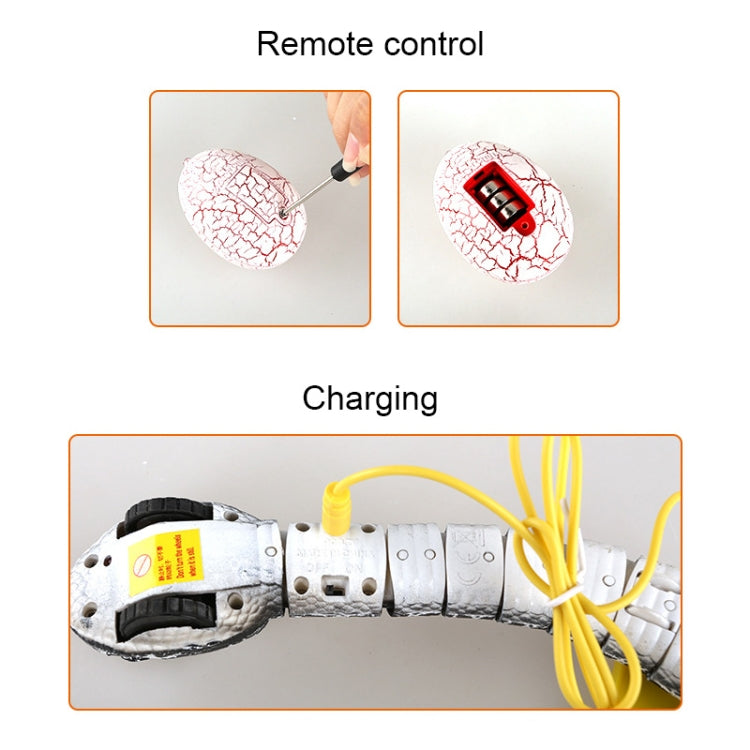 Snake egg remote controller and charging station with wires and control unit