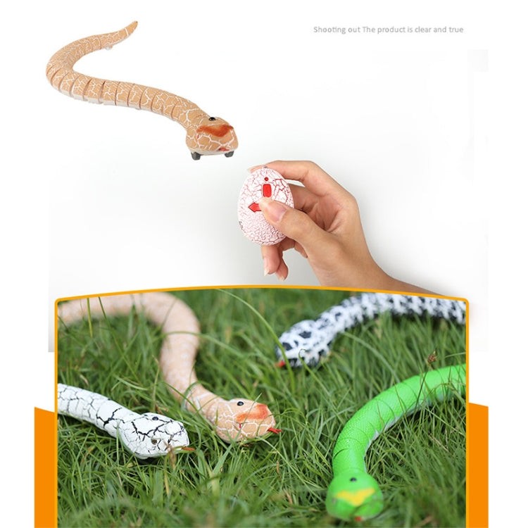 Orange snake toy with egg remote controller held in hand