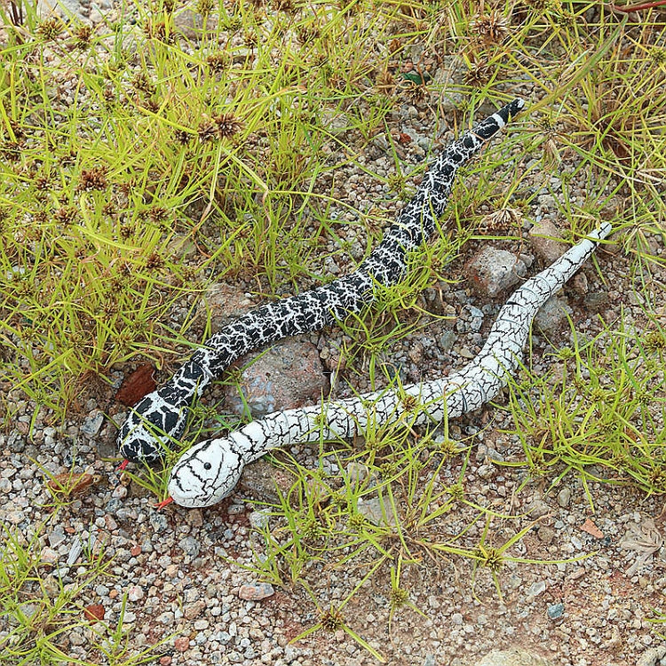 Black-and-white remote-control snake toy on gravel and grass, head facing forward
