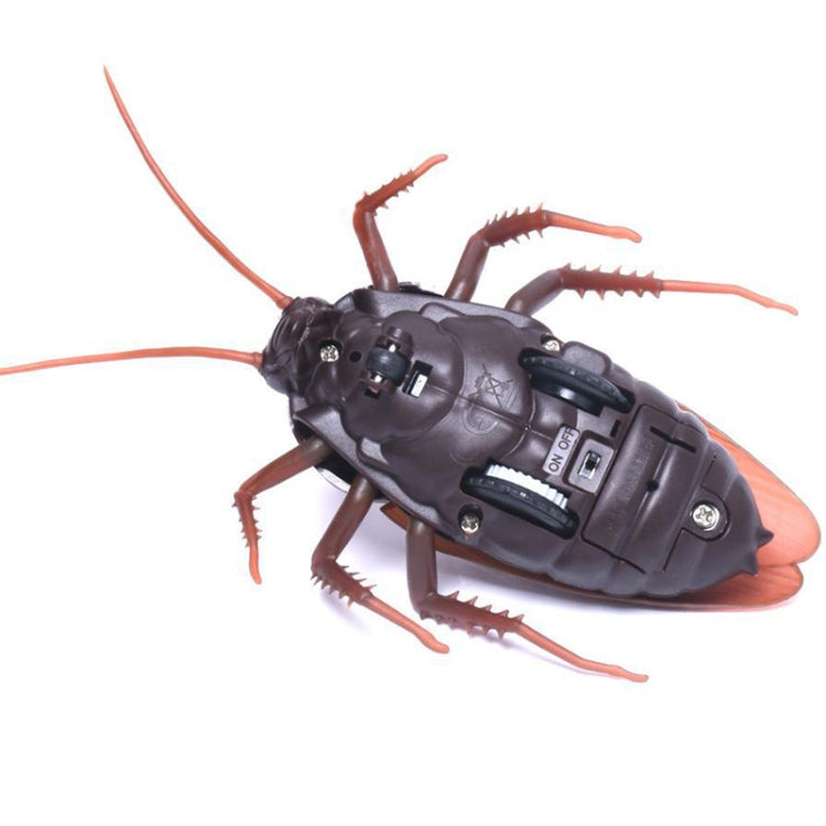 Remote-control cockroach toy lying on side, brown wings, dark segmented body and legs