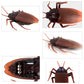 Remote-control cockroach toy close-ups, brown wings and dark body detail views